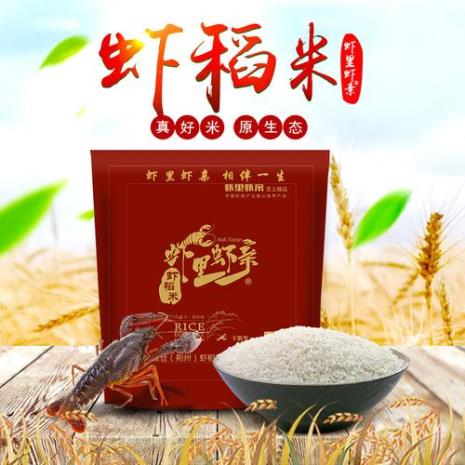 一级大米713中稻种介绍