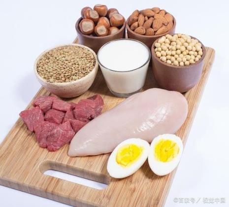 基础蛋白是什么