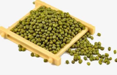 大绿豆与小绿豆的区别