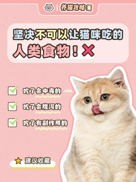 猫不能吃的食物有哪些