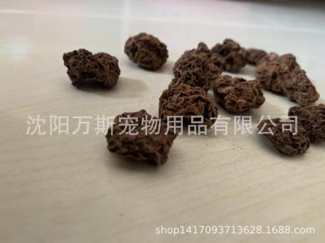 木天蓼虫瘿果形成原因