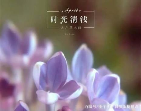 愿时光静好许岁月安然怎么回复