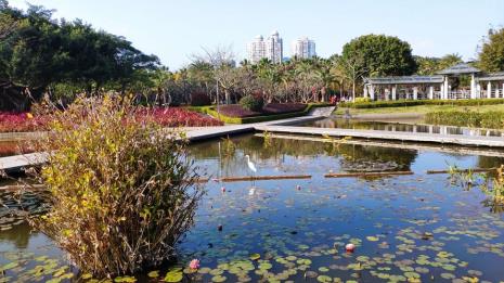 厦门海湾公园的规划建设