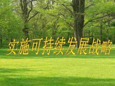 什么是三饰原则