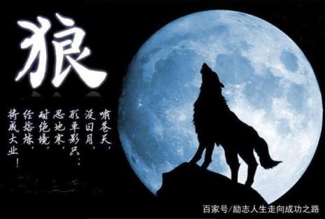 人生的强者什么意思