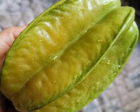 有人知道水杨桃是什么吗