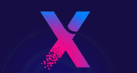 X代表的含义是什么