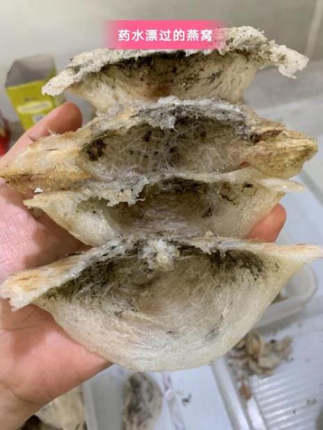 燕窝按粒点什么意思