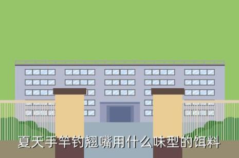 6H是什么意思