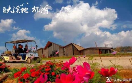 蓝石大溪地湿地公园可以烧烤吗