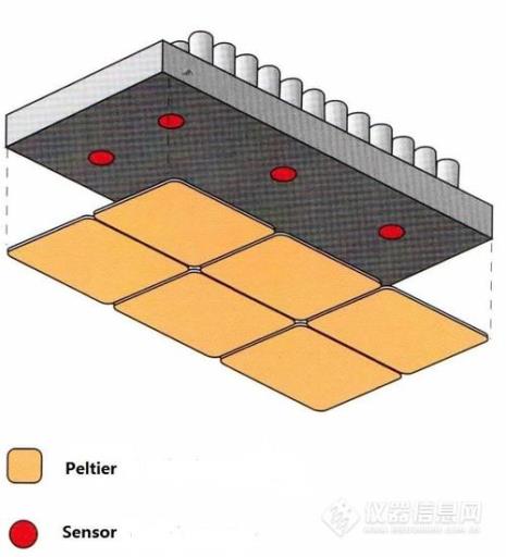 pcr终点法