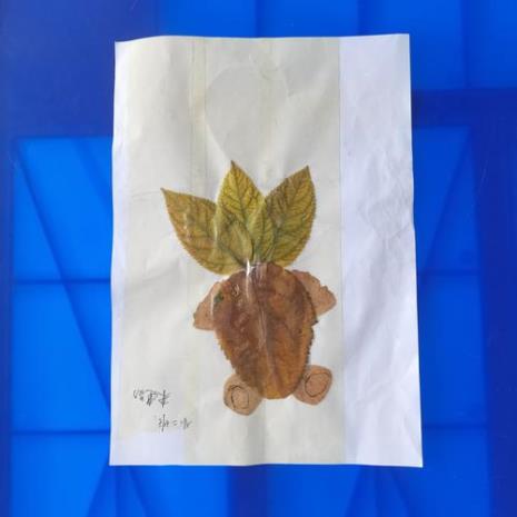 手工树叶粘贴画教程