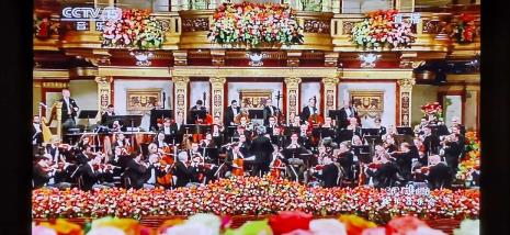 指挥维也纳新年音乐会最多的人