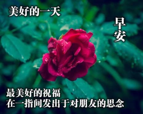 三伏天早安语励志