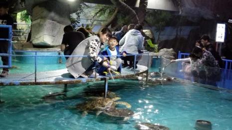 齐河海底世界在齐河什麽地方