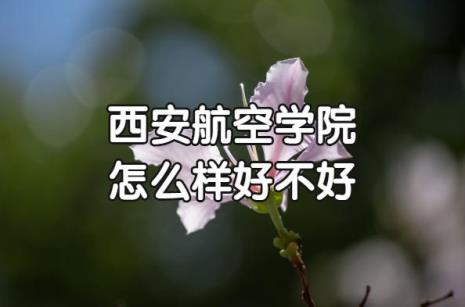 西安现代学院口碑