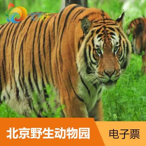 北京野生动物园晚上可以充电吗