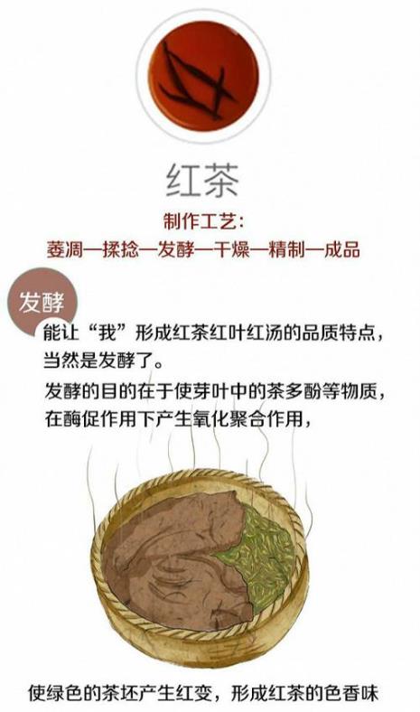 六大茶类工艺顺口溜