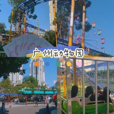 动物园与游乐场有什么区别