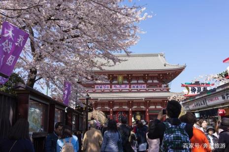 东京都有多少神社