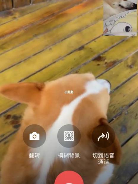 倾友聊天视频会录下来吗