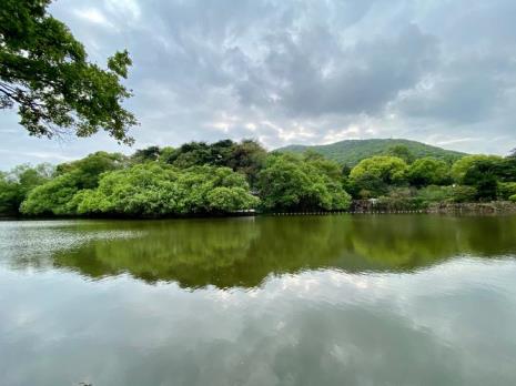 雨过天青云开处全诗