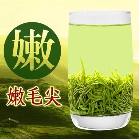 什么茶泡开是嫩芽还很甜