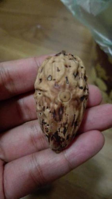 千眼菩提子断头是什么意思