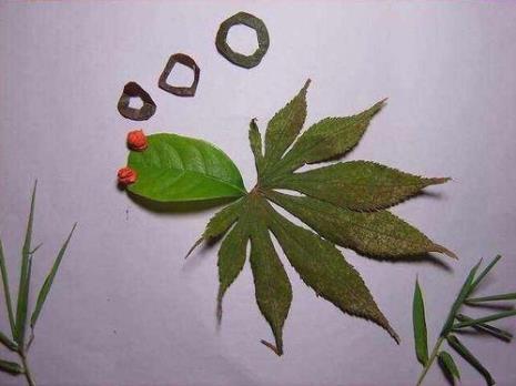云竹树叶草花贴画手工