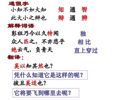 北冥有鱼讲了几层意思