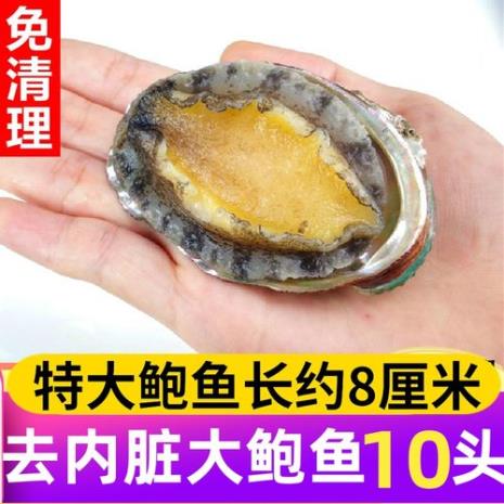 十头鲍为什么叫做十头