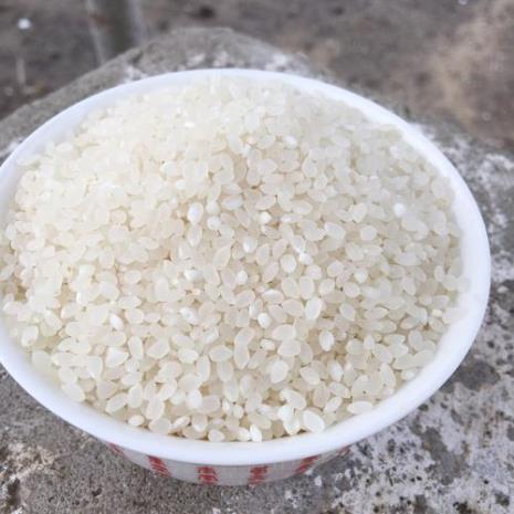 东北米和珍珠米和油粘米的区别