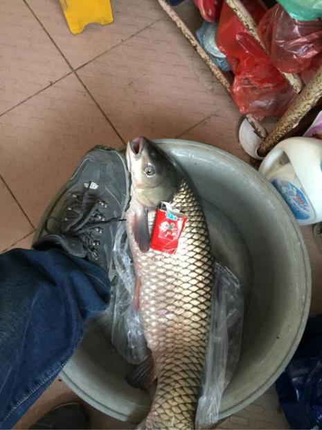 小白河自助鱼馆哪家好吃