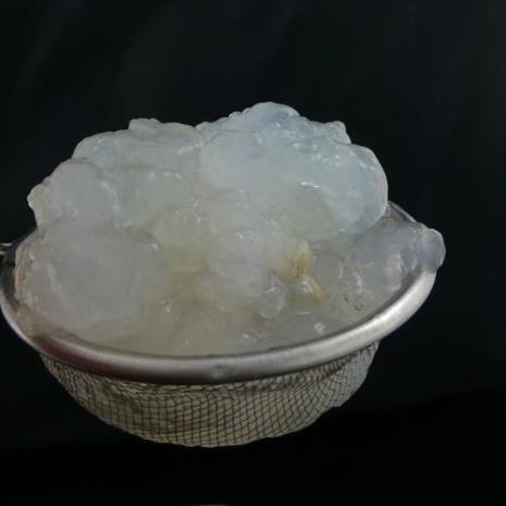 大连雪蛤是什么