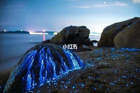 福建荧光海滩怎么形成