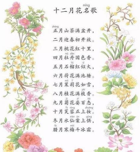带月子的歌