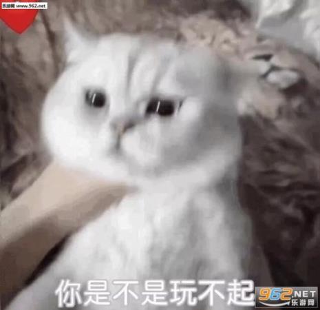 表情包哪里可以找得到