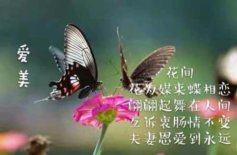从夫妻恩爱的诗句中取孩子名