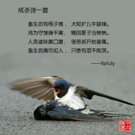 因果相随是什么意思