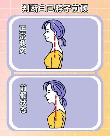 人品与气质区别