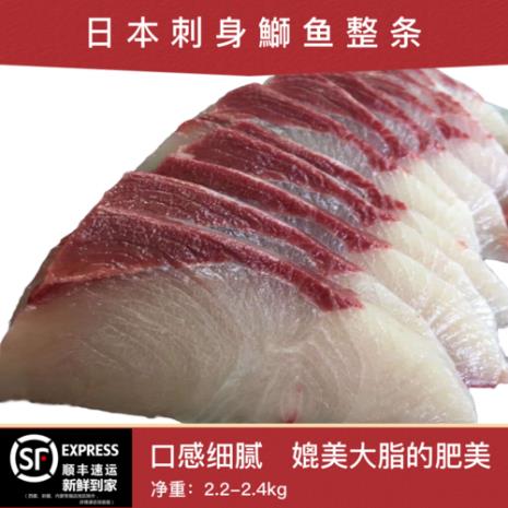 日本狮鱼介绍