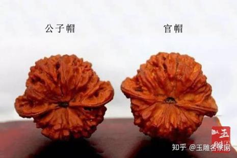 麦虎核桃和官帽核桃的区别