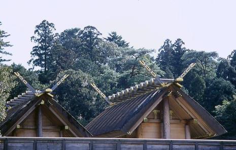 中国的神社叫什么