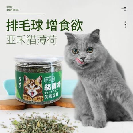 为什么猫咪喜欢木天蓼
