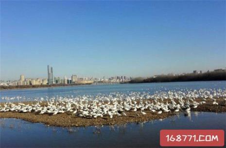 保定属于三门峡吗