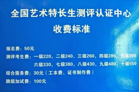 可以考级的特长有哪些专业