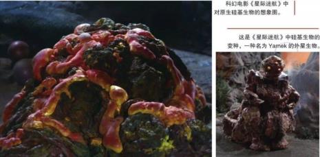 人属于硅基生物吗