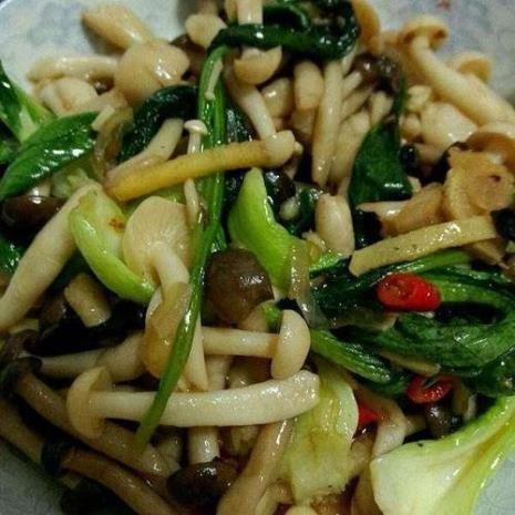 北兰菇油菜怎么做