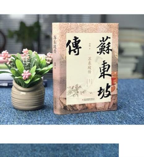 申维的苏东坡传怎么样