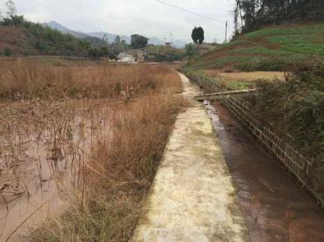去重庆渝北区茨竹镇坐什么车